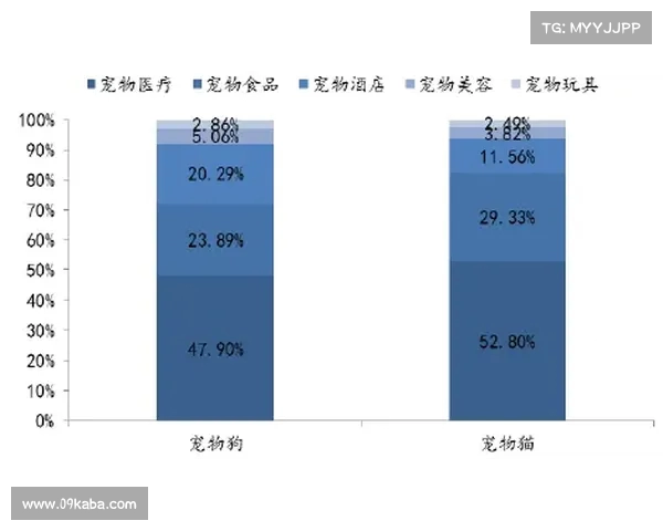 英超历史转会费排名前十分析及其背后市场趋势探讨 英超历史转会费排名前十分析及其背后市场趋势探讨